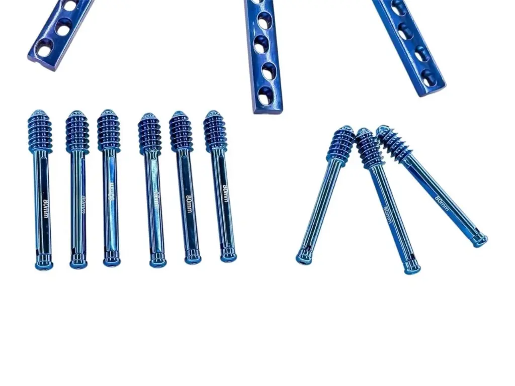 WhatsApp Image 2025-08-06 at 11.23.51 (1).webp